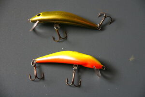 dorado-dead-fish