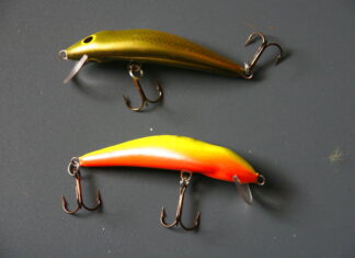 Dorado – Dead Fish